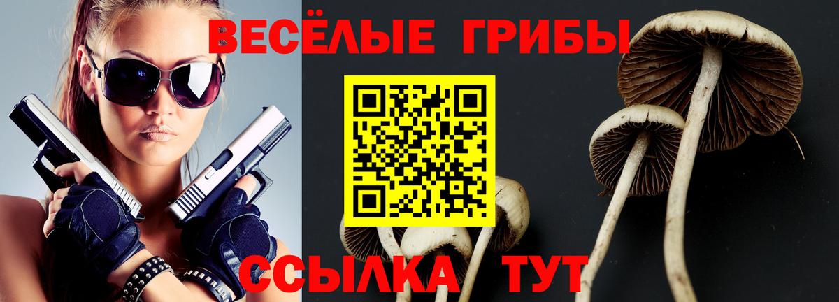 Галлюциногенные грибы GOLDEN TEACHER  Псилоцибиновые грибы ЛСД  Вход с VPN  Надым 